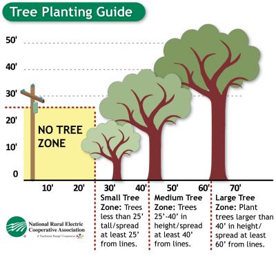 Planting Guide